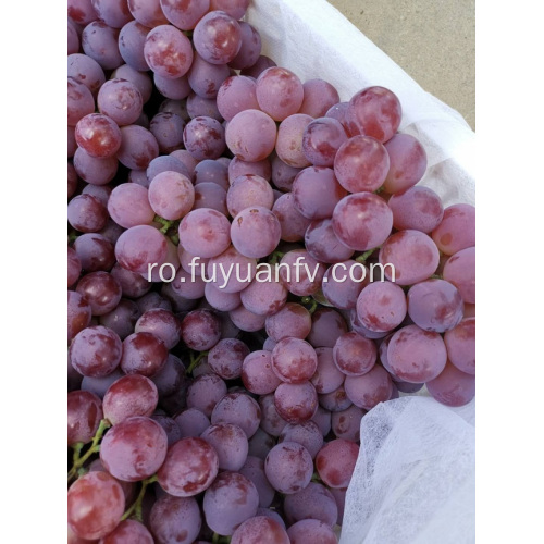 BUNCHUAN GRAPES ÎNCEPE